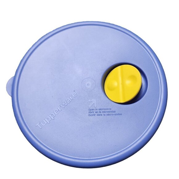 VTG Tupperware Rock N Serve Replacement Seal #3702A-2 Blue Yellow - Picture 1 of 5